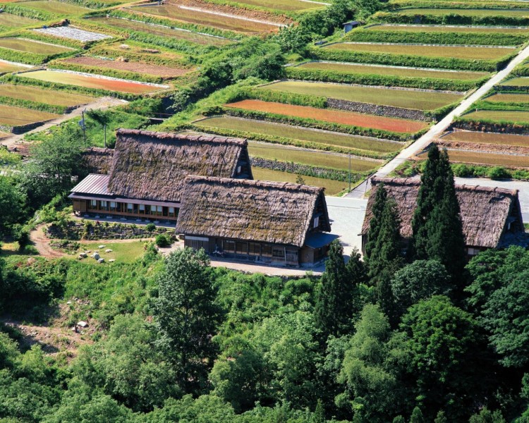 生态园