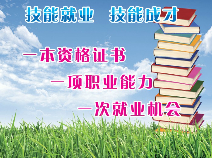 教育部:本科和研究生职业教育相关政策正在制定