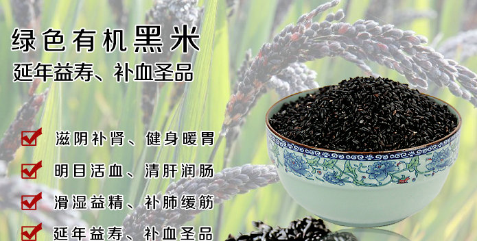 黑米稻栽培
