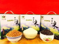 瑶山春皇家御米